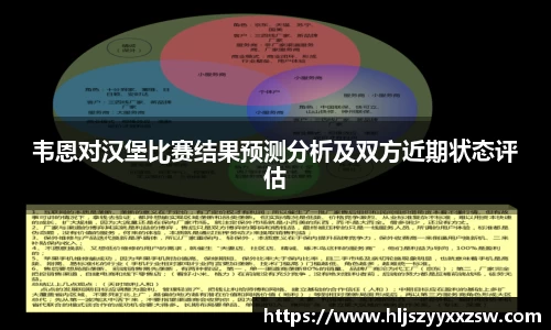 韦恩对汉堡比赛结果预测分析及双方近期状态评估